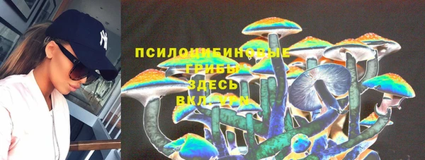 бошки Балахна