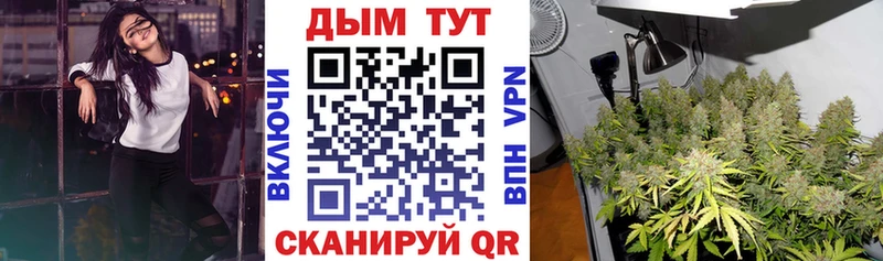 магазин продажи наркотиков  Яблоновский  omg ссылка  Бошки Шишки ГИДРОПОН 